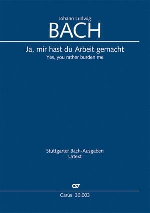 Ja, mir hast du Arbeit gemacht
